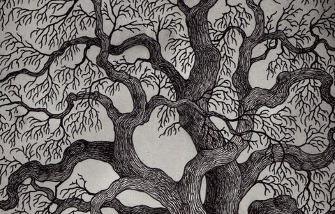 Good and Joyful Things by Ania Ahlborn - Lettered Edition