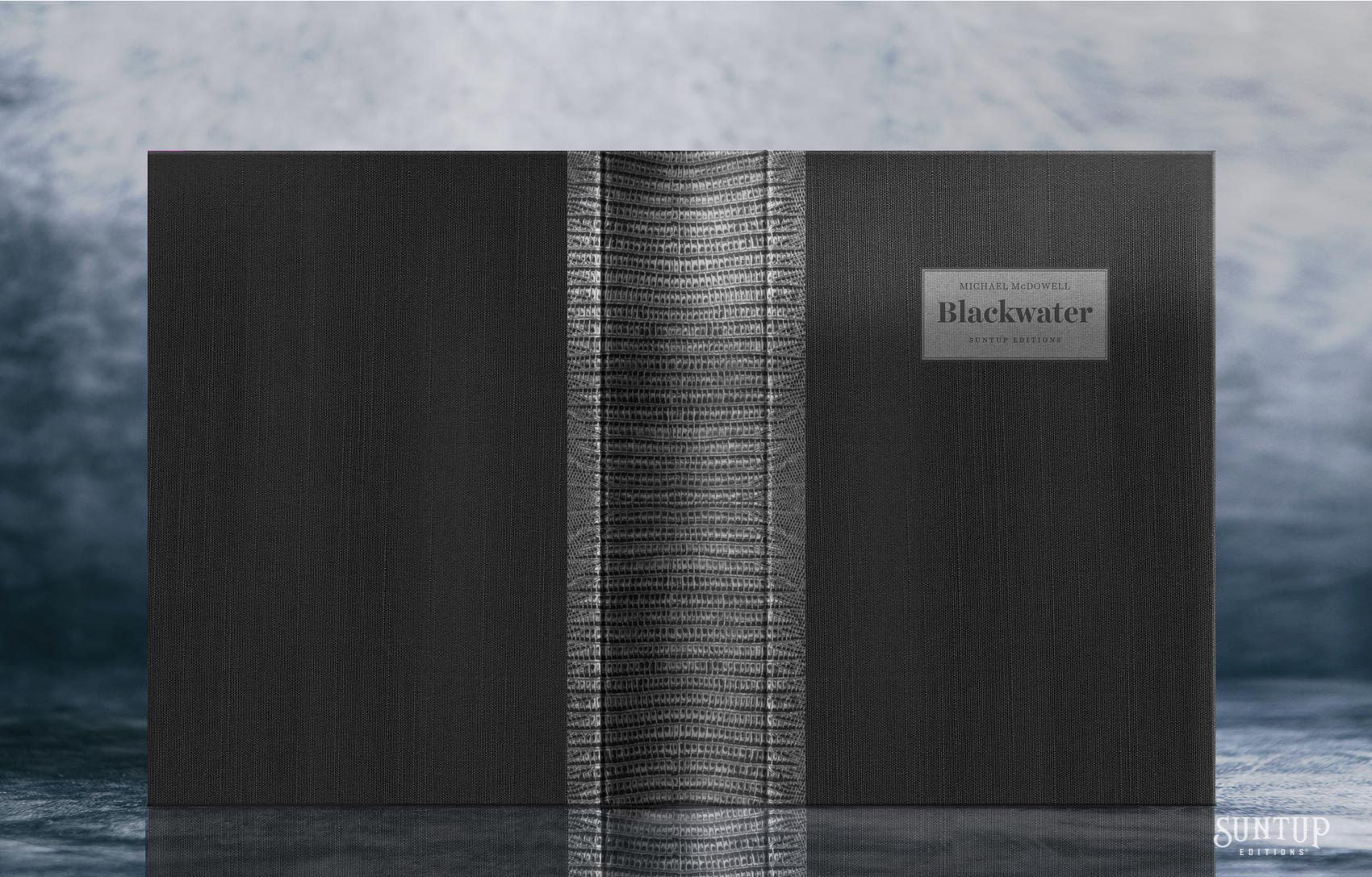 洋書 Blackwater 2 Volumes by Michael McDowell Blackwater: The Complete Saga: McDowell, Michael, Ballingrud
