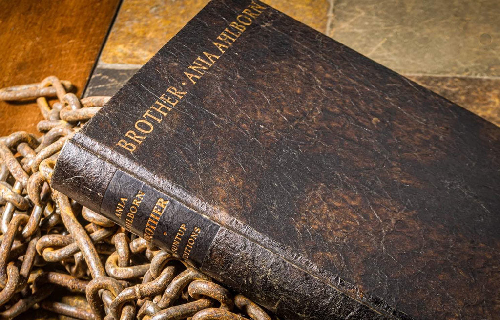 Brother by Ania Ahlborn - Limited Edition