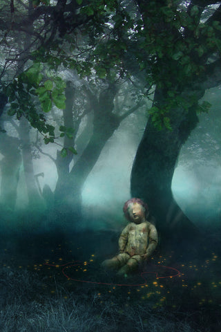 Brother by Ania Ahlborn - Limited Edition