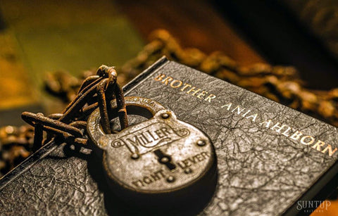 Brother by Ania Ahlborn - Limited Edition