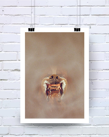 Cujo - Poster