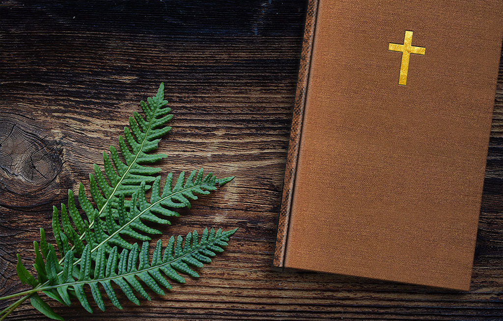 Horns by Joe Hill - Numbered Edition