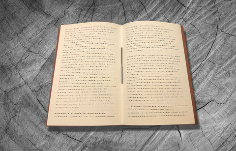 Horns by Joe Hill - Lettered Edition