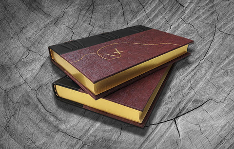 Horns by Joe Hill - Lettered Edition