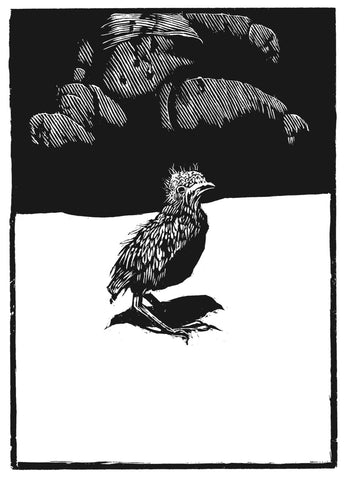 Child of God by Cormac McCarthy - Artist Edition
