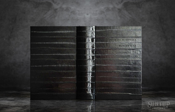 洋書 Blackwater 2 Volumes by Michael McDowell Blackwater II: The Levee: The Blackwater Saga: Michael